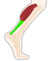Nos prestations sur le secteur de à Marseille 13008